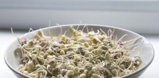 Benefits And Uses Of Sprouts